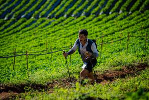 BIB: 
                            <button type="button" onclick="openModal(19160614)" class="btn btn-primary btn-sm float-right btn-popup" data-toggle="modal" data-target=".modal-high-quality">
                        <i class="fas fa-shopping-cart"></i> Add to Cart
                    </button>
                                            <button type="button" onclick="isThisMe(19160614, true)" class="btn btn-success btn-sm float-right btn-popup btn-isme hidden" data-toggle="tooltip" data-placement="bottom" title="นี่คือรูปของคุณใช่ไหม คลิกที่นี่เพื่อเอาเข้าอัลบั้ม">
                        <i class="fas fa-plus"></i> Add to album
                    </button>
                    <button type="button" onclick="isThisMe(19160614, false)" class="btn btn-warning btn-sm float-right btn-popup btn-isnotme hidden">
                        <i class="fas fa-ban"></i> Remove from album
                    </button>